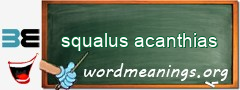 WordMeaning blackboard for squalus acanthias